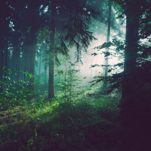 sebastian-unrau-sp-p7uuT0tw-unsplash