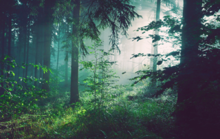 sebastian-unrau-sp-p7uuT0tw-unsplash